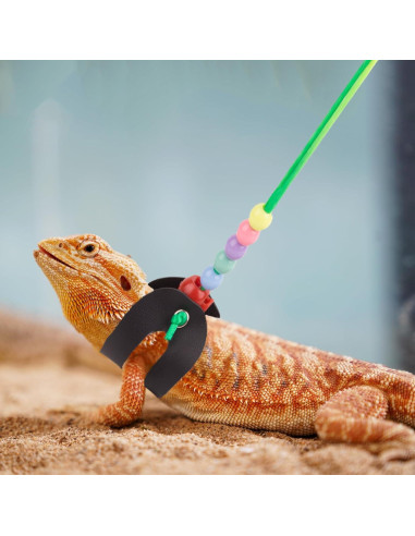 Arnés y Correa Ajustable para Dragón Barbudo ADOGGYGO - Cuero Colorido S/M/L