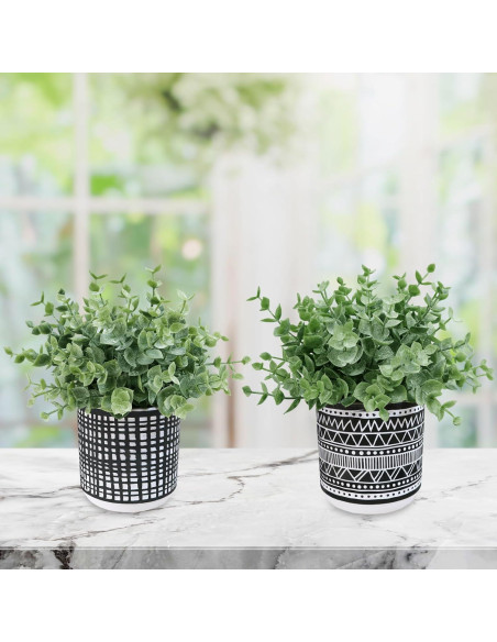 Juego de 2 Plantas de Eucalipto Artificial Winlyn en Macetas Negras