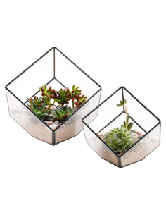 Terrario Geométrico de Vidrio ElegantLife - Maceta Decorativa