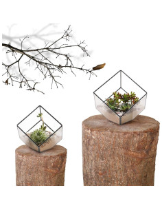 Terrario Geométrico de Vidrio ElegantLife - Maceta Decorativa 2