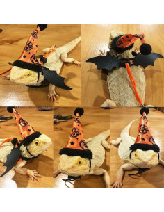 Conjunto Arnés y Sombrero Halloween Dragón Barbudo ADOGGYGO 2