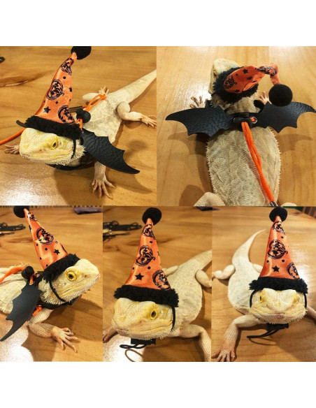 Conjunto Arnés y Sombrero Halloween Dragón Barbudo ADOGGYGO