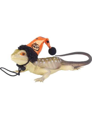 Conjunto Arnés y Sombrero Halloween Dragón Barbudo ADOGGYGO