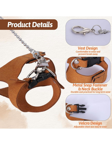 Conjunto de Arnés y Correa Ajustable JIYIN para Reptiles