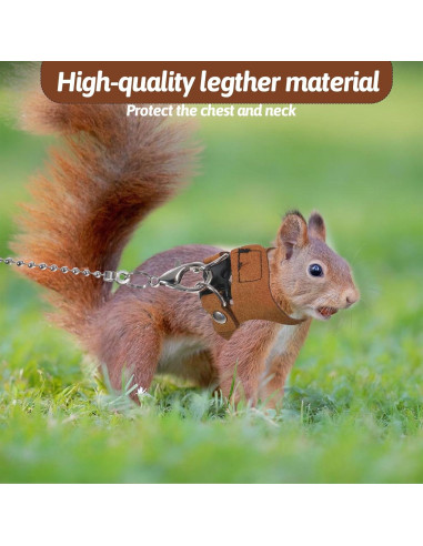 Conjunto de Arnés y Correa Ajustable JIYIN para Reptiles