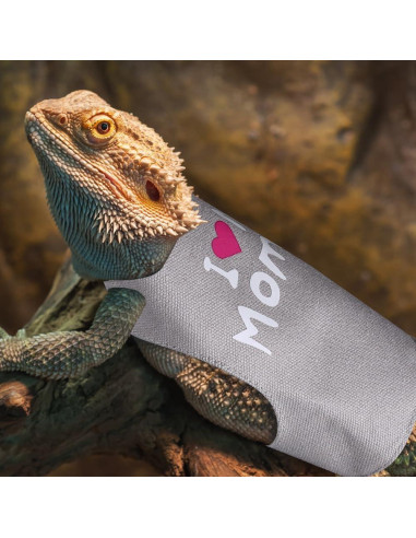 Arnés Ajustable para Dragón Barbudo DONGKER con Correa 1.45m