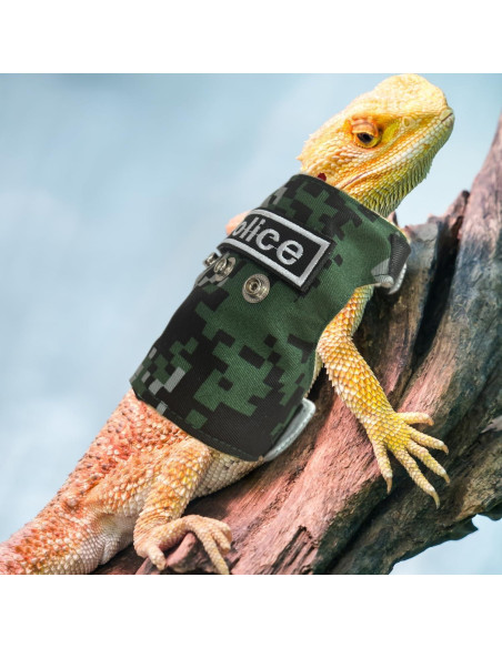 Conjunto Arnés y Correa Ajustable SEZDEKI para Dragón Barbudo Verde Conjunto Arnés y Correa Ajustable SEZDEKI para Dragón Barbudo Verde