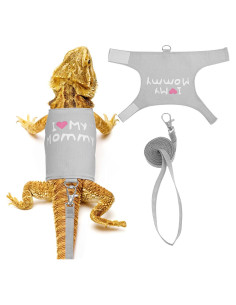 Conjunto Arnés y Correa Ajustable KFHENSOMR para Dragón Barbudo