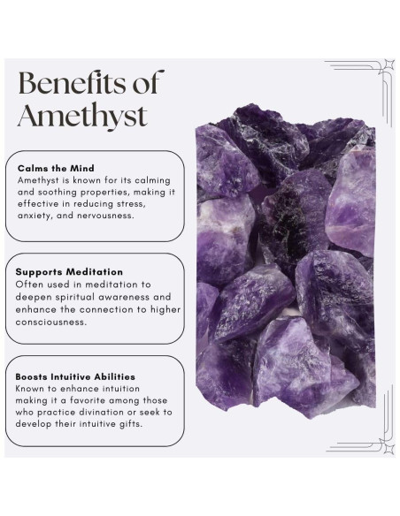 Botella de Agua de Cristal SAOI 500ml con Amatista - Vidrio y Acero Inoxidable