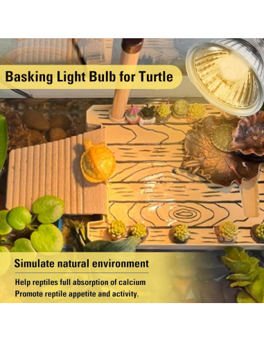 Paquete de 4 bombillas de calor UVA 25W Abustle Pig para reptiles