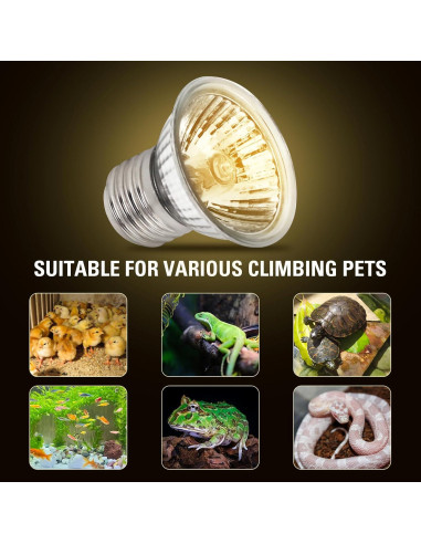 Paquete de 4 bombillas de calor UVA 25W Abustle Pig para reptiles