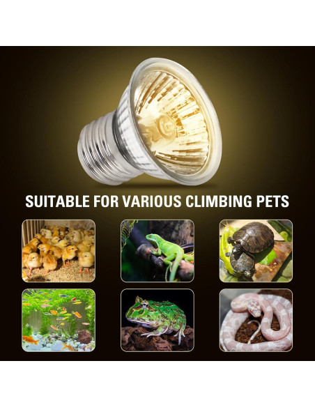 Paquete de 4 bombillas de calor UVA 25W Abustle Pig para reptiles