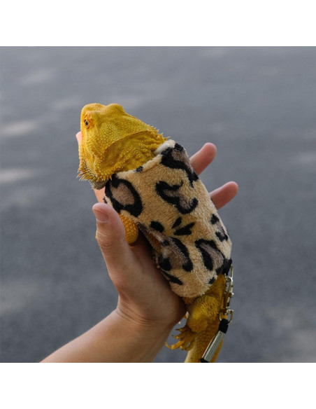 Conjunto Arnés y Correa Dragón Barbudo SEZDEKI Marrón Conjunto Arnés y Correa Dragón Barbudo SEZDEKI Marrón