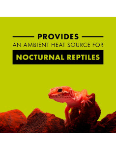 Bombilla Incandescente Zilla 50W Rojo Nocturno para Reptiles 2