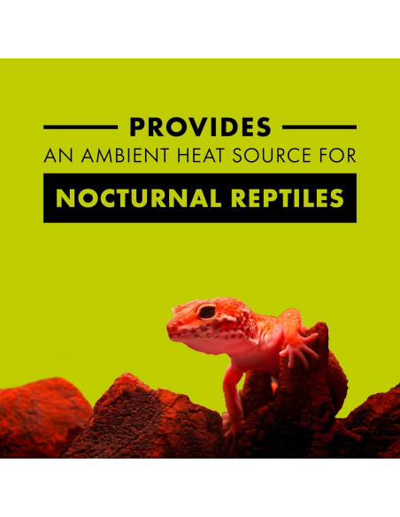 Bombilla Incandescente Zilla 50W Rojo Nocturno para Reptiles