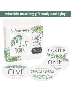 Calcomanías Mensuales para Bebés Little Moments - Set de 25 2
