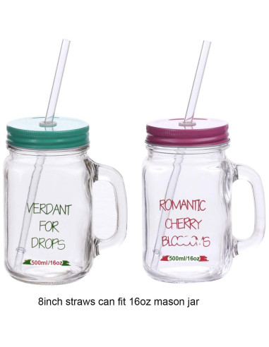 Pajitas Reutilizables Dakoufish 15.24 cm Transparentes - Set de 12