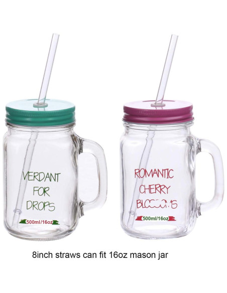 Pajitas Reutilizables Dakoufish 15.24 cm Transparentes - Set de 12