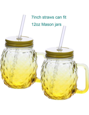 Pajitas Reutilizables Dakoufish 15.24 cm Transparentes - Set de 12