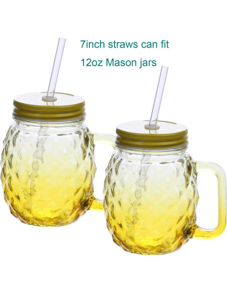 Pajitas Reutilizables Dakoufish 15.24 cm Transparentes - Set de 12