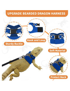 Paquete de 3 correas y arneses VOXGET para reptiles - Azul 2