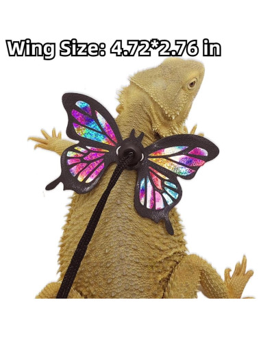 Conjunto Arnés y Correa Ajustable Copfeu para Mascotas Pequeñas