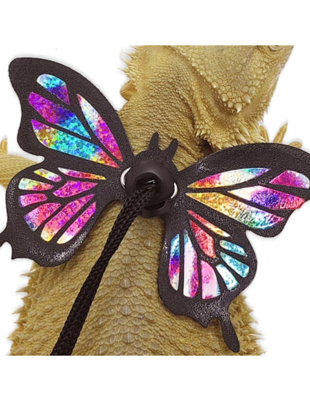 Conjunto Arnés y Correa Ajustable Copfeu para Mascotas Pequeñas