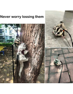 Conjunto Arnés y Correa para Glider de Azúcar 3 Tamaños 2