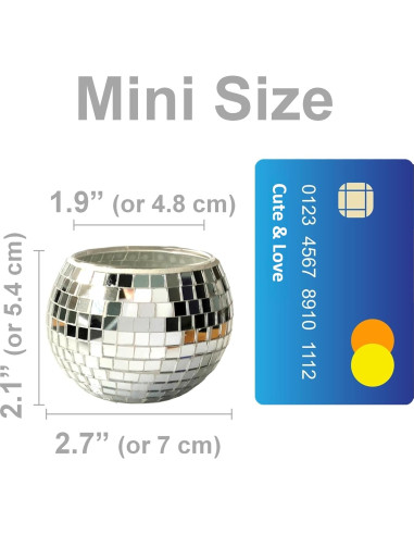 Mini Maceta Decorativa BusyPet Plateada para Suculentas 5.4 cm