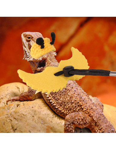 Disfraz de Abeja para Dragón Barbudo ADOGGYGO con Correa