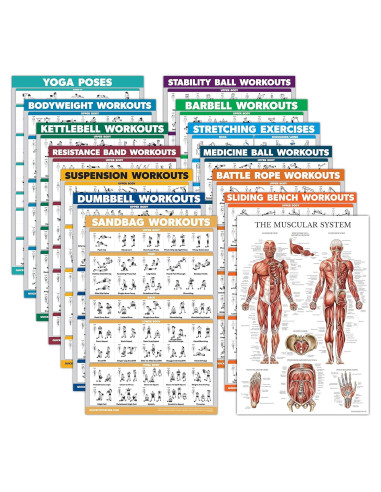 Conjunto de Pósters de Ejercicio Palace Learning 14 Pack