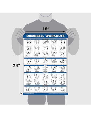 Conjunto de Pósters de Ejercicio Palace Learning 14 Pack