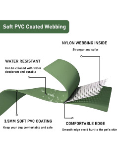 Conjunto Collar y Correa para Perro ZALER Ajustable Impermeable L Verde 2