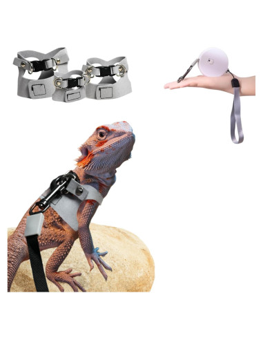 Juego de Arnés y Correa TTMIMIK para Dragón Barbudo - 3 Tamaños