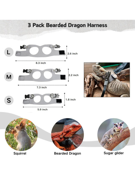 Juego de Arnés y Correa TTMIMIK para Dragón Barbudo - 3 Tamaños Juego de Arnés y Correa TTMIMIK para Dragón Barbudo - 3 Tamaños