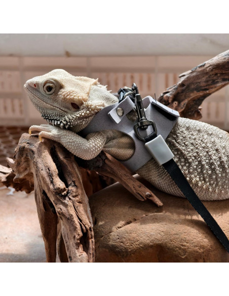 Juego de Arnés y Correa TTMIMIK para Dragón Barbudo - 3 Tamaños Juego de Arnés y Correa TTMIMIK para Dragón Barbudo - 3 Tamaños