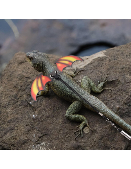 Conjunto Arnés y Correa para Dragón Barbudo PEUTIER 207.5cm Conjunto Arnés y Correa para Dragón Barbudo PEUTIER 207.5cm