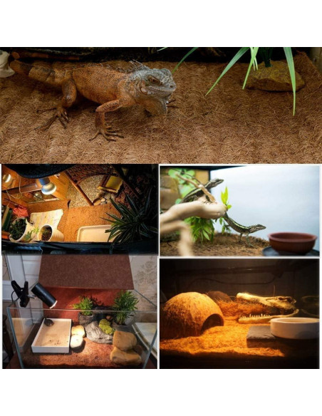 Alfombra de Reptil Hamiledyi 101.6 x 40.6 cm Fibra de Coco