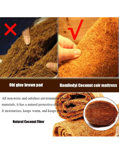 Alfombra de Reptil Hamiledyi 101.6 x 40.6 cm Fibra de Coco