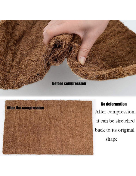 Alfombra de Reptil Hamiledyi 101.6 x 40.6 cm Fibra de Coco