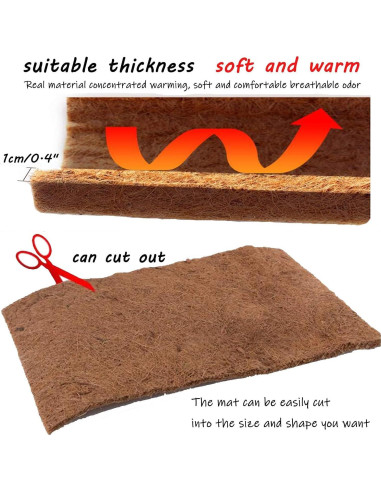 Alfombra de Reptil Hamiledyi 101.6 x 40.6 cm Fibra de Coco