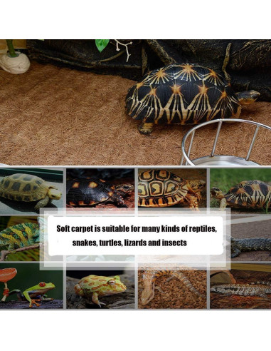 Alfombra de Reptil Hamiledyi 101.6 x 40.6 cm Fibra de Coco