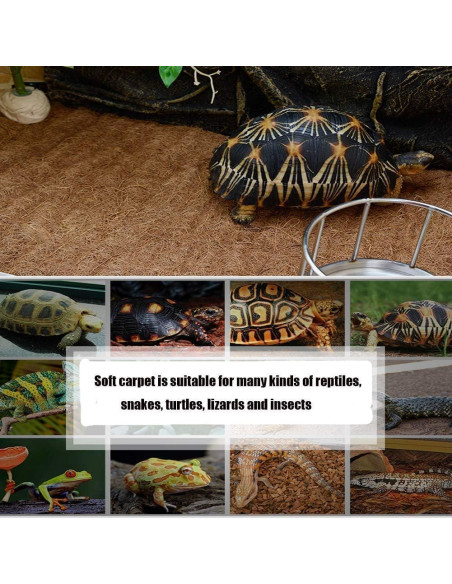 Alfombra de Reptil Hamiledyi 101.6 x 40.6 cm Fibra de Coco