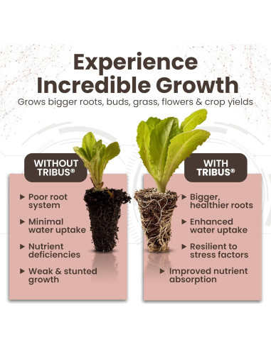 Inoculante Microbiano Orgánico Impello Tribus 1 L - Acelerador de Raíces