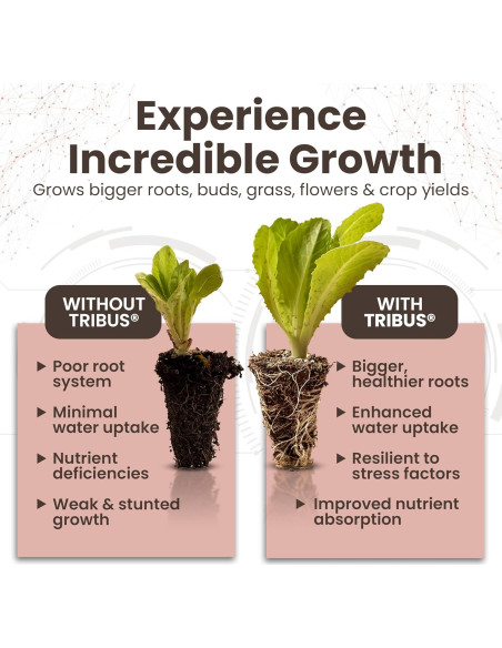 Inoculante Microbiano Orgánico Impello Tribus 1 L - Acelerador de Raíces