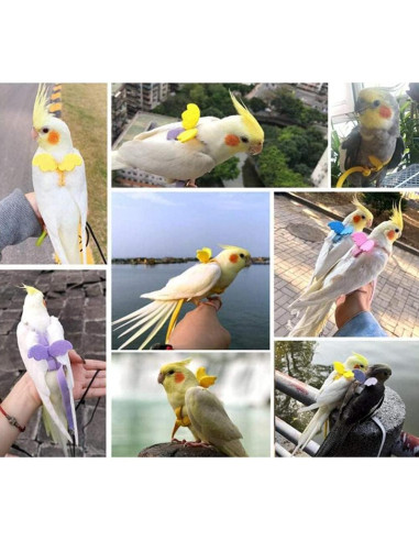 Arnés y Correa Ajustables para Aves Forzena XL Rosa 2M