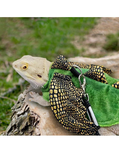 Conjunto Arnés y Correa HOKABLE para Dragón Barbudo Pequeño