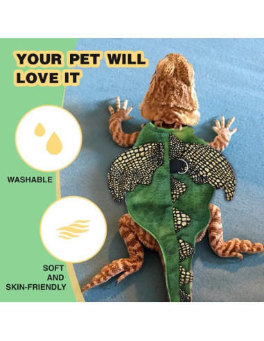 Conjunto Arnés y Correa HOKABLE para Dragón Barbudo Pequeño