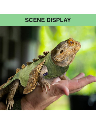 Conjunto Arnés y Correa HOKABLE para Dragón Barbudo Pequeño