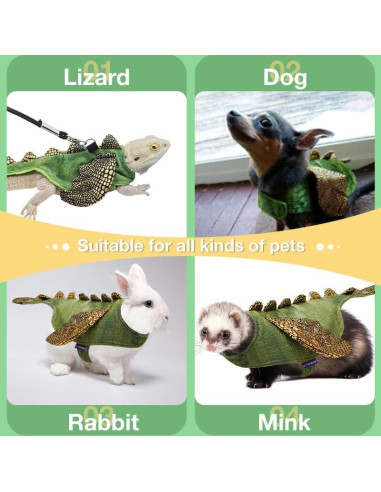 Conjunto Arnés y Correa HOKABLE para Dragón Barbudo Pequeño